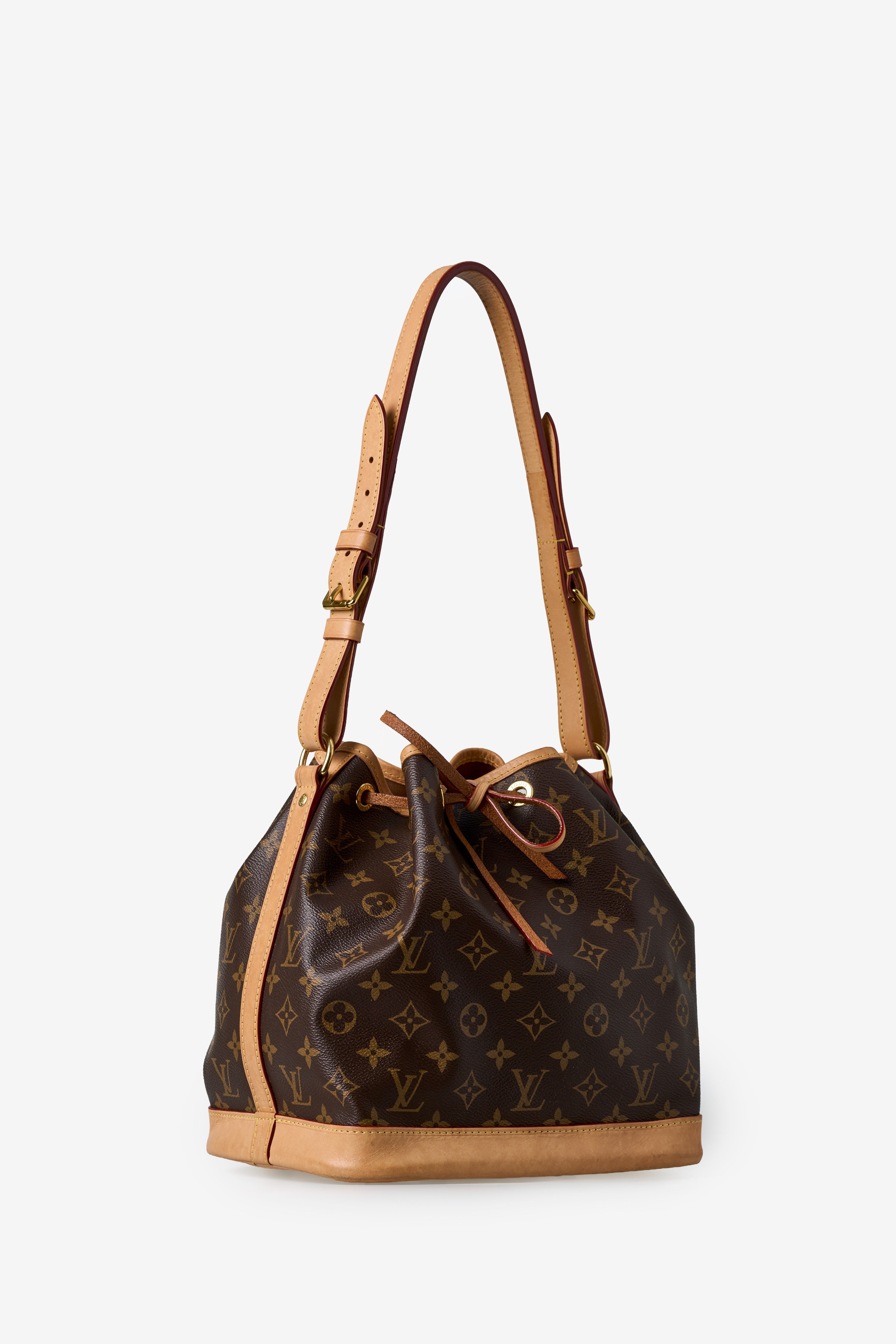 LV Noé BB
